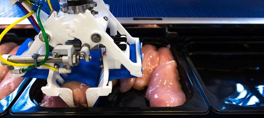 Looking for self-learning food robots